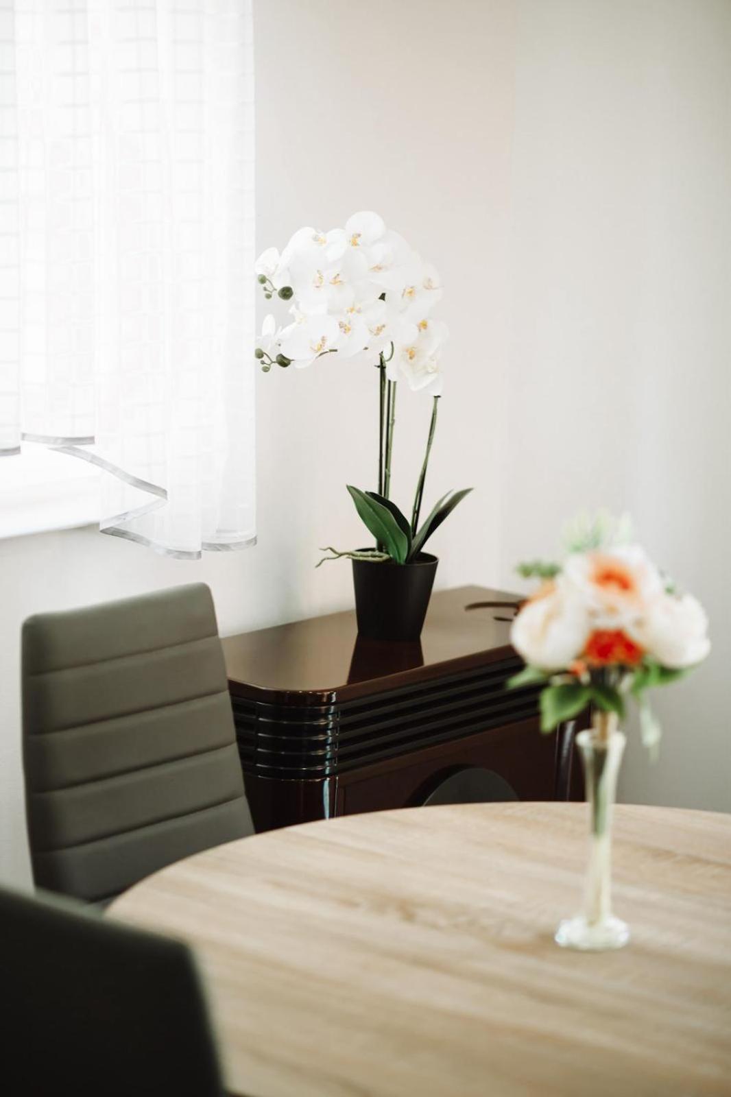 Apartman Sunny Hills Krapina Exterior foto